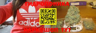 молекула духа Коммунар