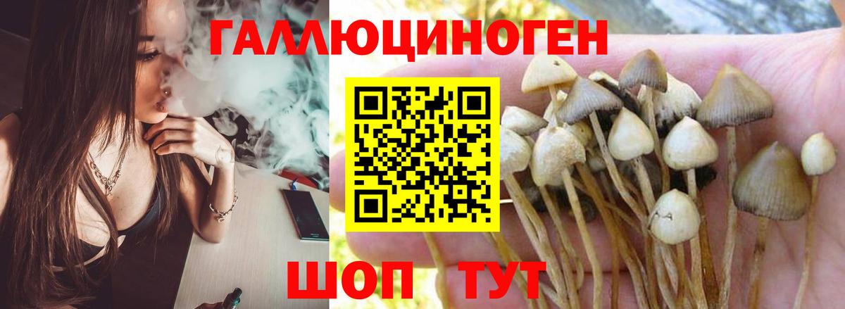 хочу   Вход с VPN  Крымск  Псилоцибиновые грибы MAGIC MUSHROOMS  Галлюциногенные грибы мухоморы 
