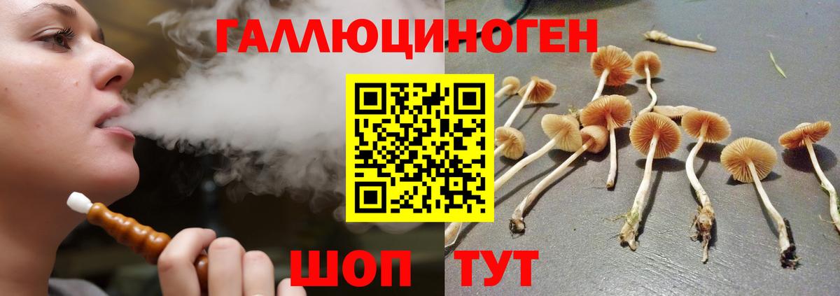 Галлюциногенные грибы MAGIC MUSHROOMS Крымск